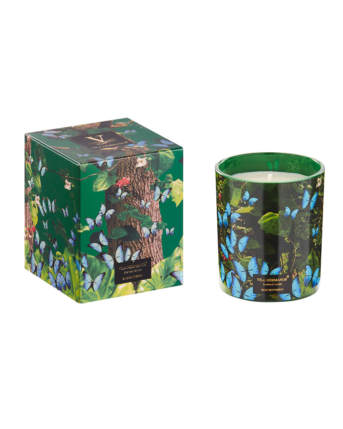 Candle in Jar JUNGLETOPIA 7oz Blue Butterfly