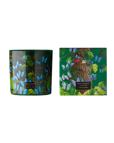 Candle in Jar JUNGLETOPIA 23oz Blue Butterfly