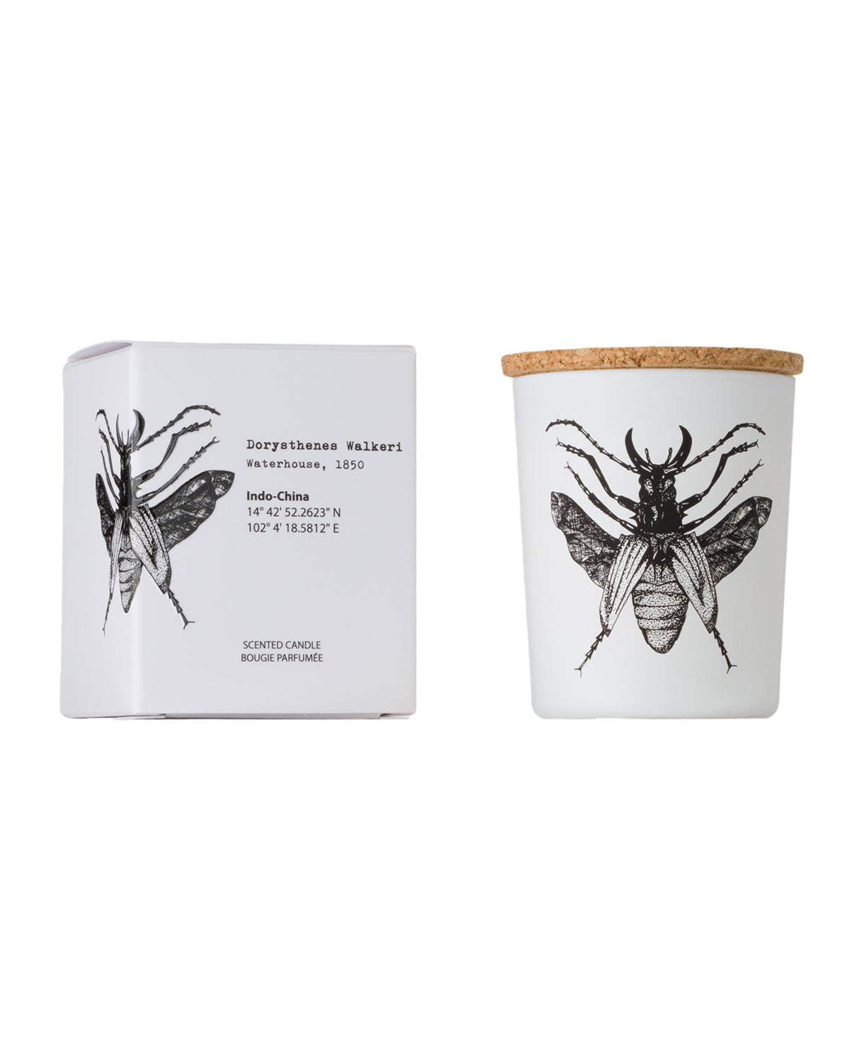 Candle in Jar INSECT Wood Wick 3oz Lucanus Cervus