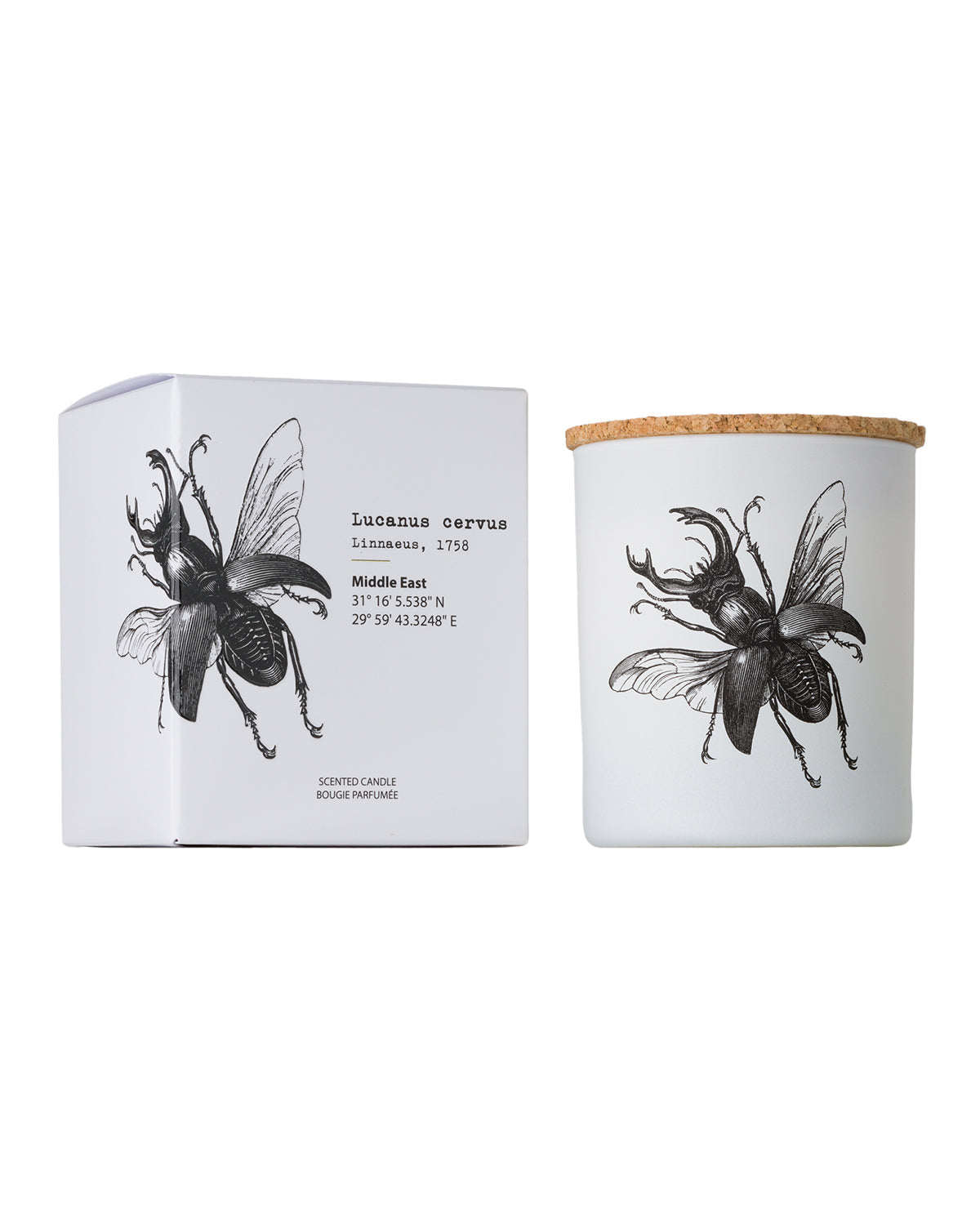 Candle in Jar INSECT Wood Wick 7oz Lucanus Cervus