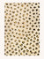 Maison Deux Rug LEOPARD Beige / Brown and Black Print 6.5 x 9.8 ft