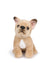 Bon Ton Toys Plush BT CHAPS PHILIPPE the French Bulldog 6.5"