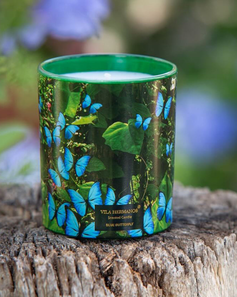 Candle in Jar JUNGLETOPIA 7oz Blue Butterfly